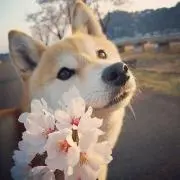 なおの画像