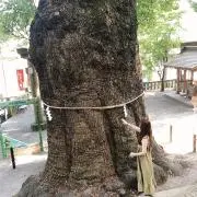 正規品or人気アイテム取り揃えてますの画像