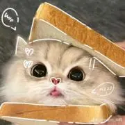 ねこ