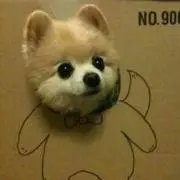 まなするの画像