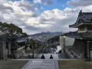 ロキシー