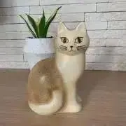 ジェニー⭐︎の画像