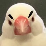 タングステンの画像