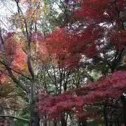 ユウト　同時購入で100円引き