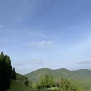 tmkmzの画像