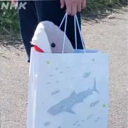 R..の画像