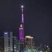 SAYUの画像