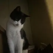 伊藤