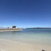 ふくふく