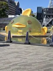 みみみ\( ´ω` )/の画像