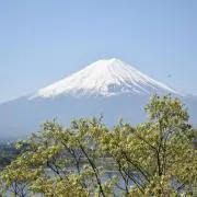 たくぞーの画像