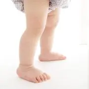 ちゃぬの画像