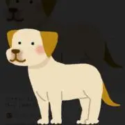 yako
