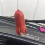 ダイ