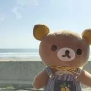 りぼん✩の画像