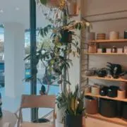 まくら(｀・∀・´)の画像