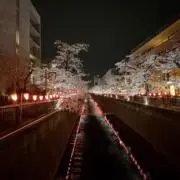 おにぎりの画像