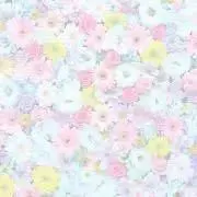 りんごの画像