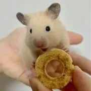 POPOの画像