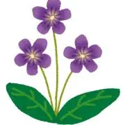 菫