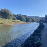 NRの画像