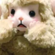 ラドの画像