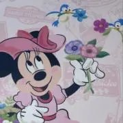 Sの画像