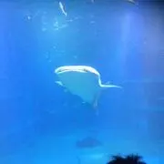 あ
