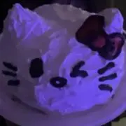 胃の画像