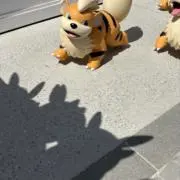 まつの画像