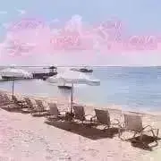 綾波ネイルの画像