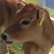 みっちの画像