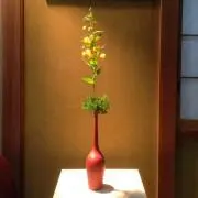はづきの画像
