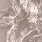 rrrrの画像