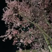 あ^の画像