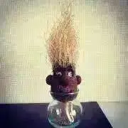 kaの画像