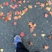 \あんな/の画像