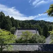 Hiの画像