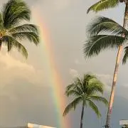 ☆やすす☆