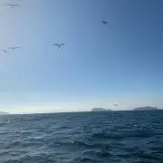 艦長の画像