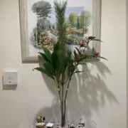 Wildflowerの画像