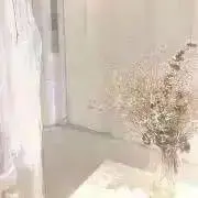 mmtの画像