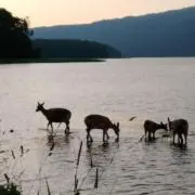 釣り人αの画像