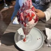 しゅたの画像