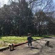 rpsaoree