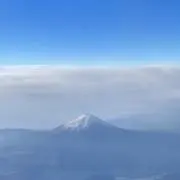 ぽんの画像