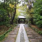 ういういウイスキーの画像