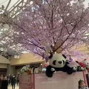 AkiraSeiの画像