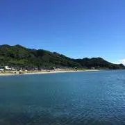 るるの画像