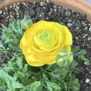 にもの(プロフ必読)